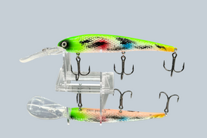 Lake Erie Slammer