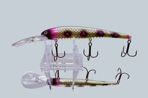 Lake Erie Slammer