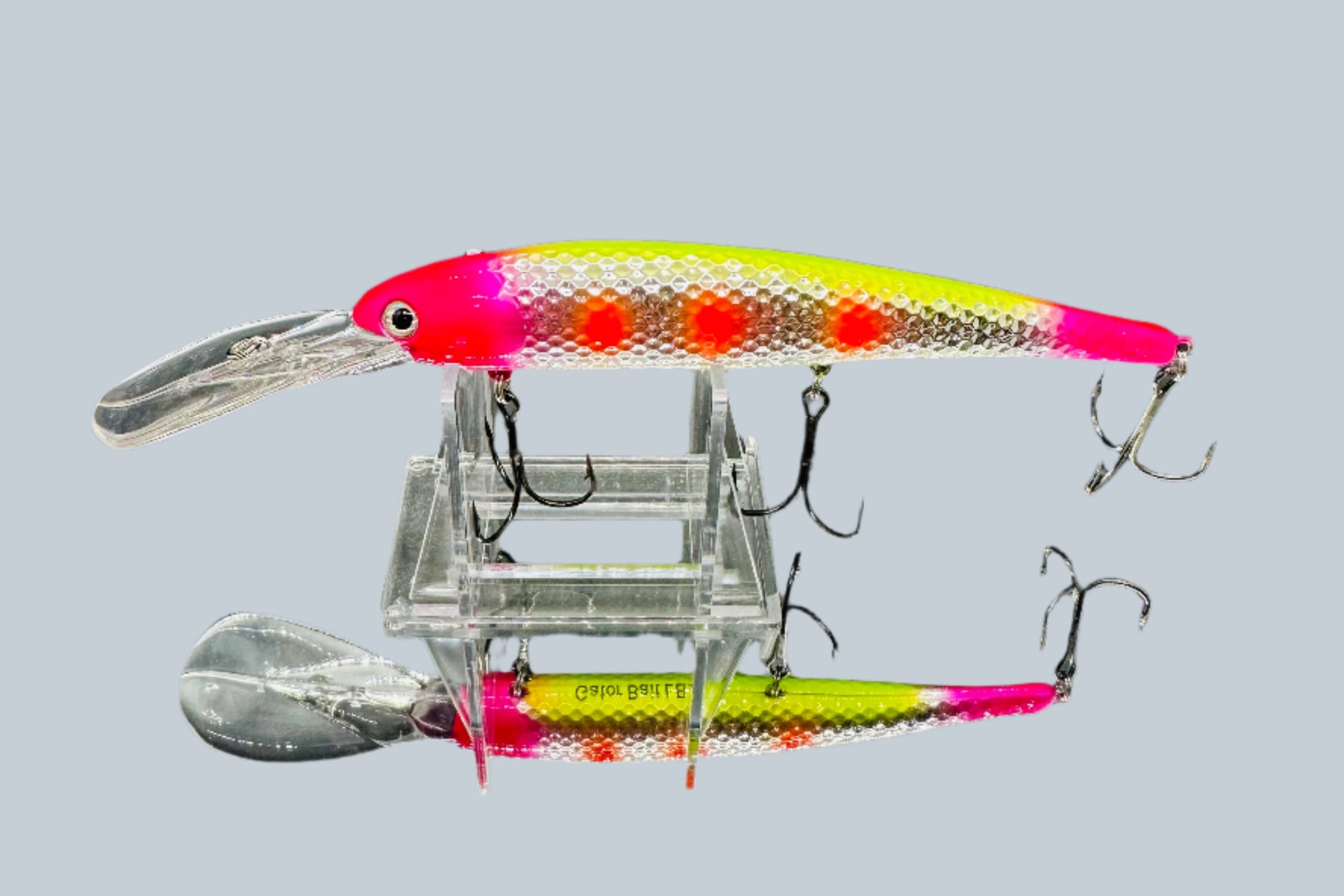 Lake Erie Slammer