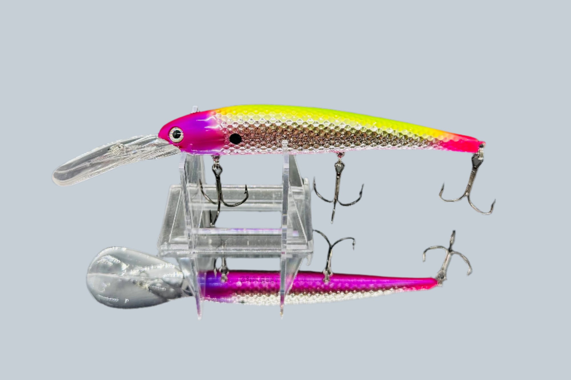 Lake Erie Slammer Lake Erie Slammer