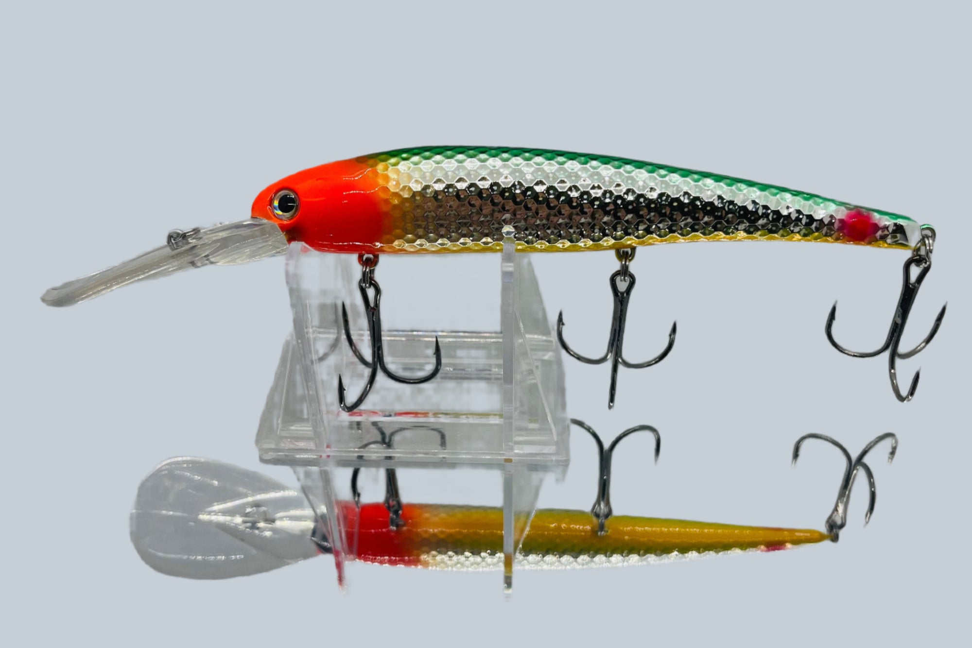 Lake Erie Slammer