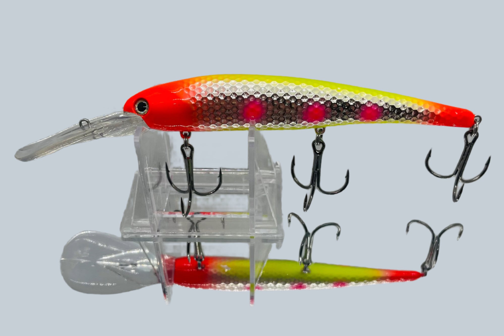 Lake Erie Slammer
