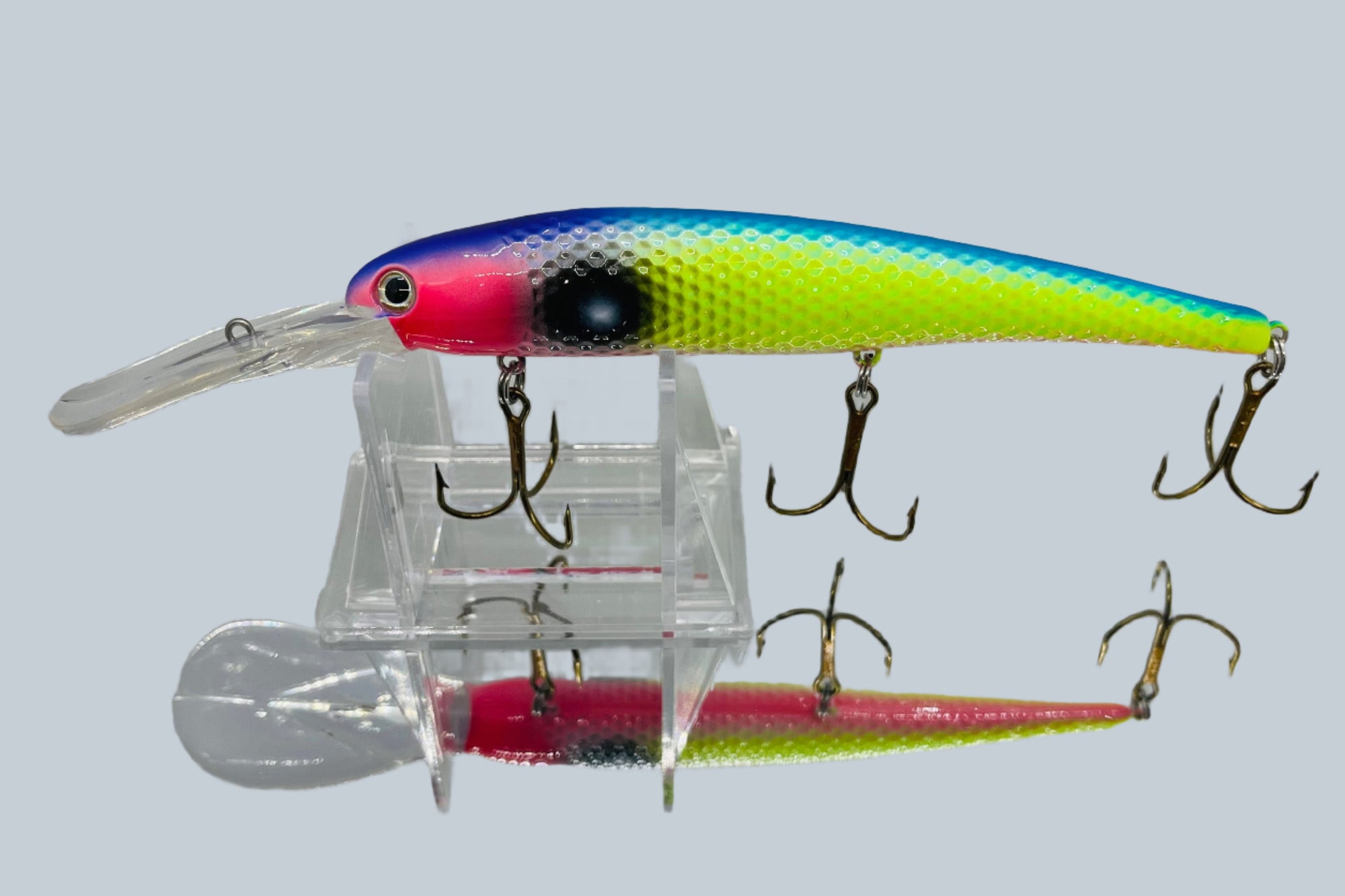 Walleye Fishing Erie Bait And Tackle Fishing Supplies Poor