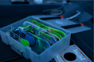 Gator Bait Flasher Vault