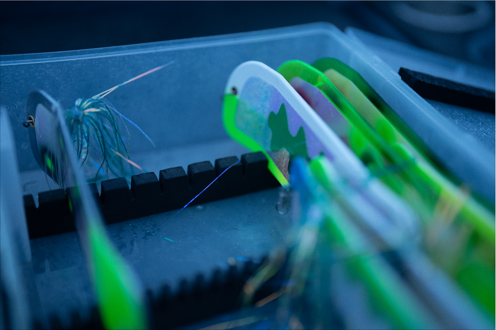 Gator Bait Flasher Vault