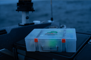 Gator Bait Flasher Vault