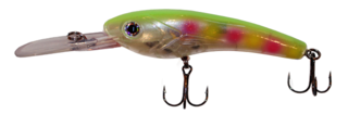Gator Bait E-400 - DL Outfitters - 3
