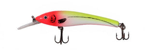 Gator Bait 100 - DL Outfitters - 15